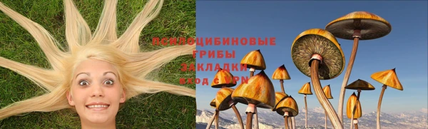 Альфа ПВП Богородск
