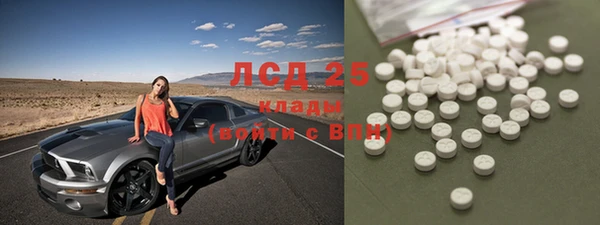 спиды Богданович