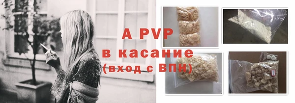 стаф Богородицк