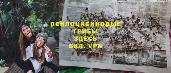 молекула духа Белокуриха