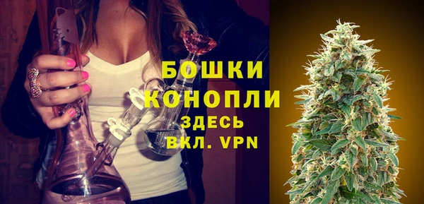 молекула духа Белокуриха