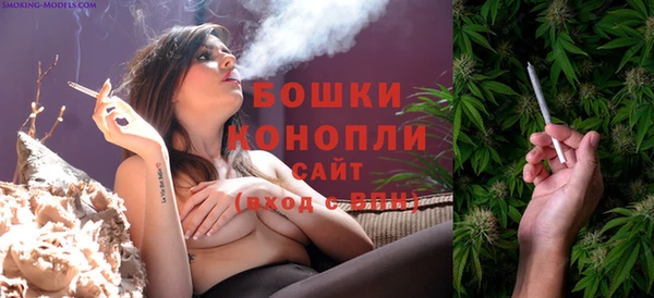 спиды Богданович