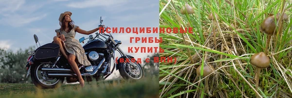 молекула духа Белокуриха