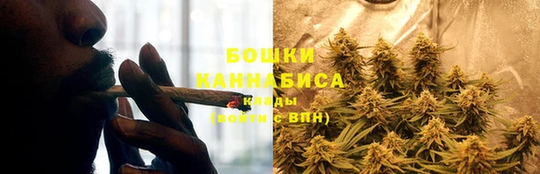 стаф Богородицк