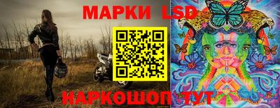 a pvp Ростов-на-Дону