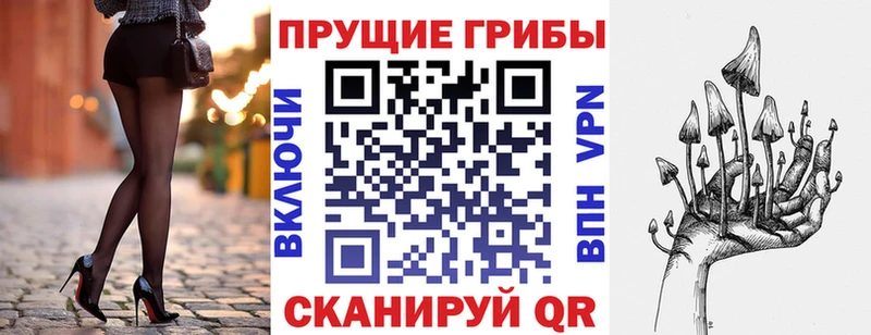 Галлюциногенные грибы MAGIC MUSHROOMS  Горячий Ключ 