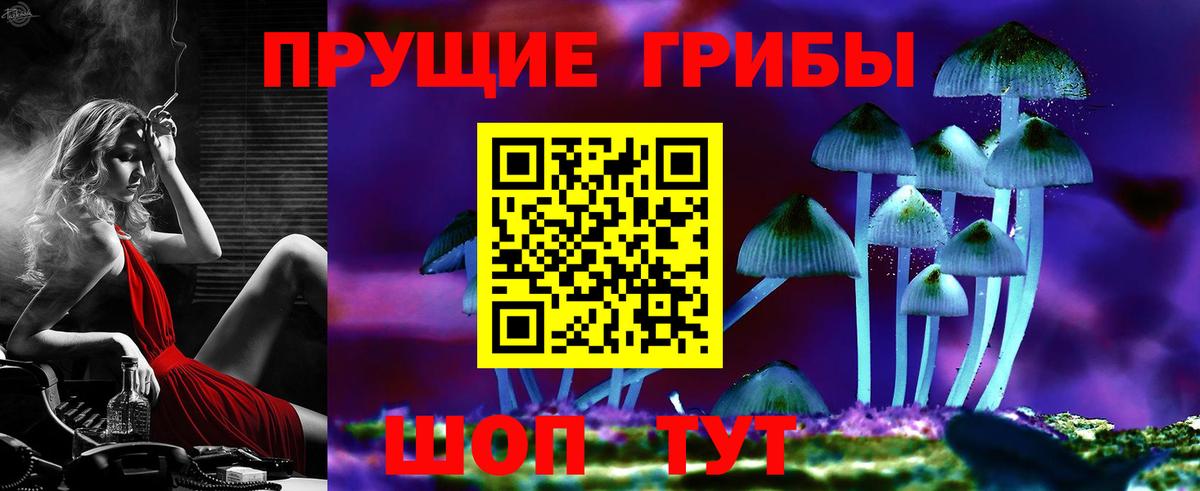 Псилоцибиновые грибы Psilocybe Горячий Ключ