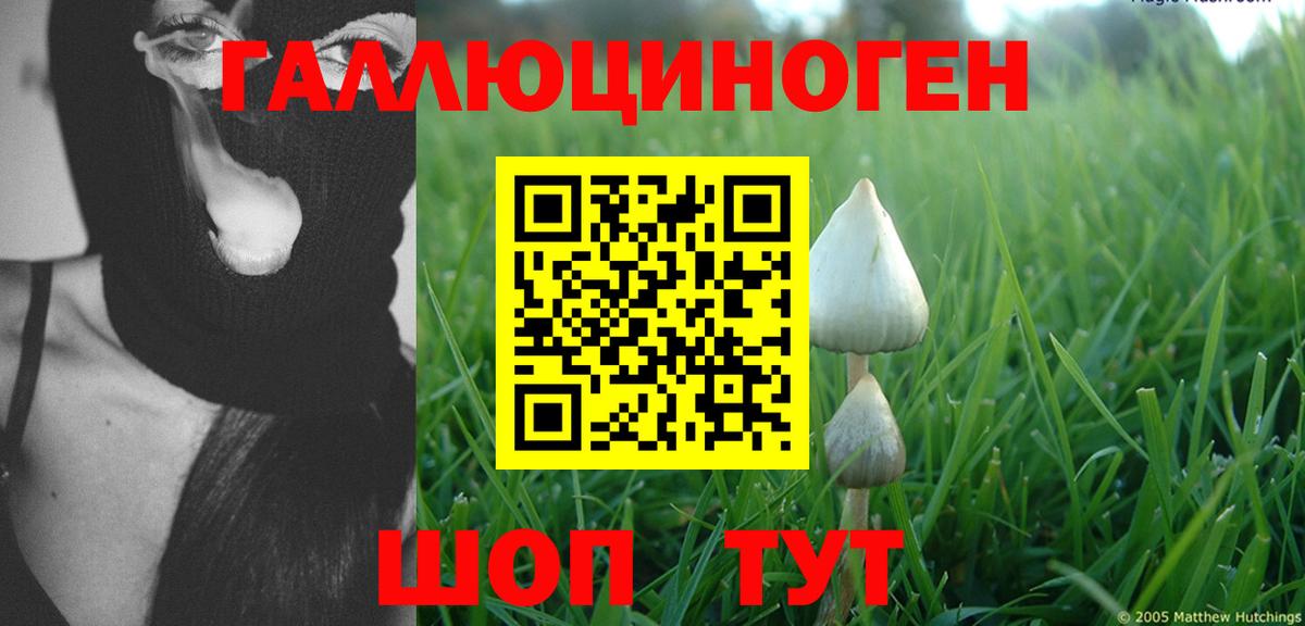 Горячий Ключ  Псилоцибиновые грибы Psilocybe  Вход с VPN  Псилоцибиновые грибы мухоморы 